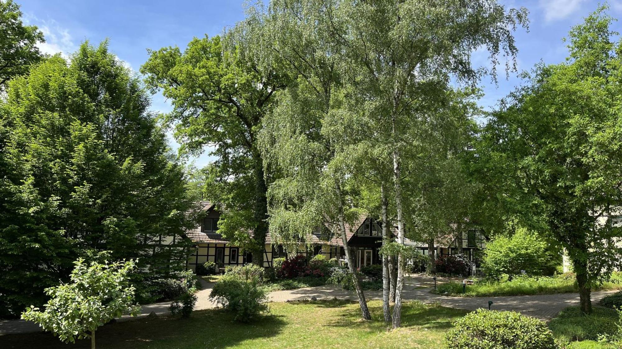 Ellernhof
