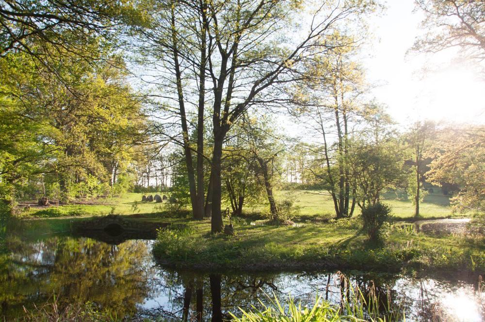 Ellernhof